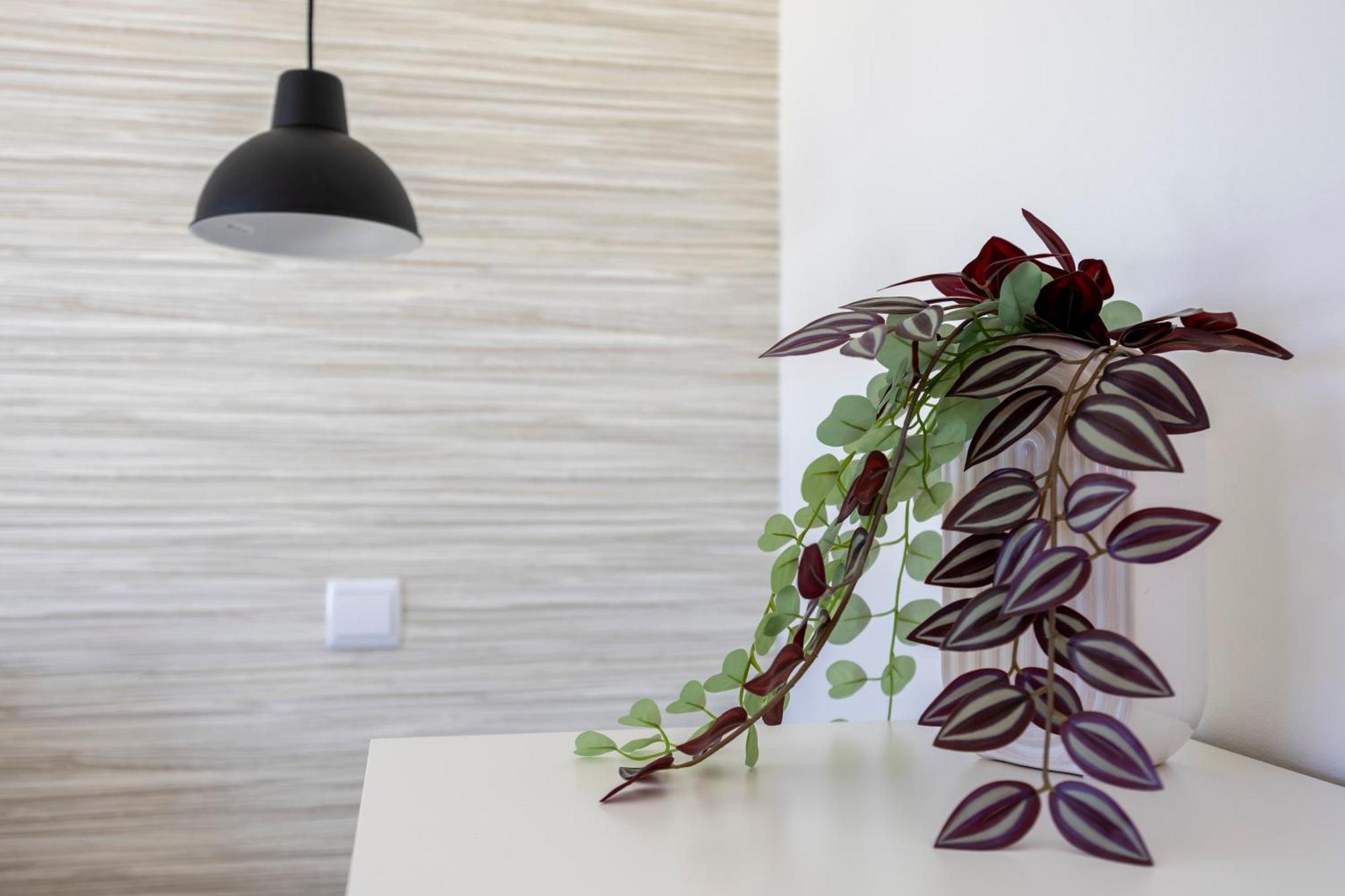 Villa Back Loop Sagres Ngoại thất bức ảnh